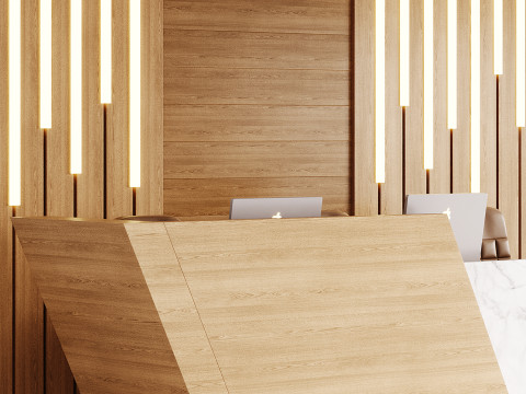 Contemporary Reception 19 3D Model