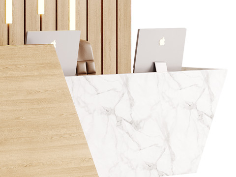 Contemporary Reception 19 3D Model