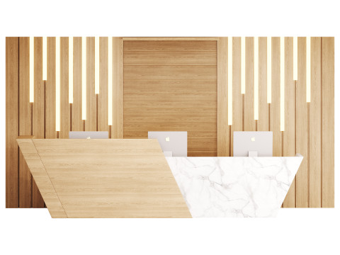 Contemporary Reception 19 3D Model