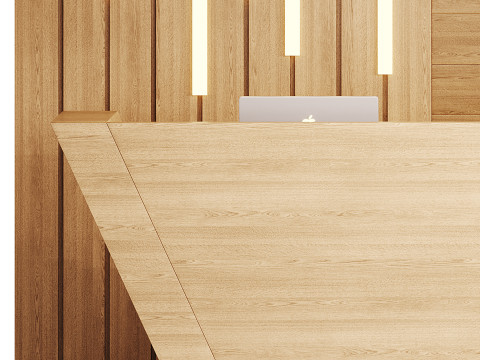 Contemporary Reception 19 3D Model