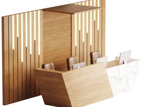 Contemporary Reception 19 3D Model
