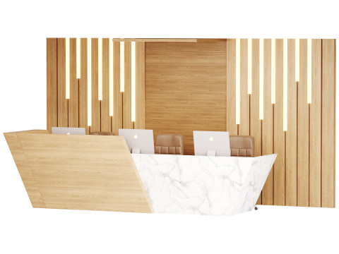 Contemporary Reception 19 3D Model
