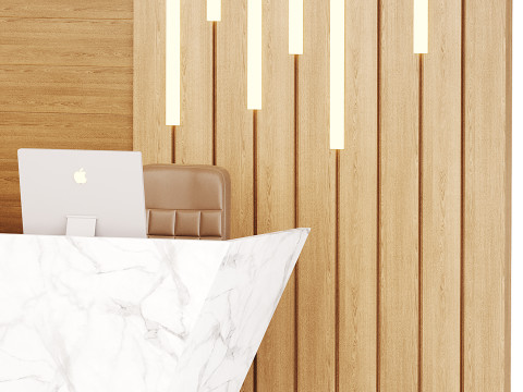 Contemporary Reception 19 3D Model