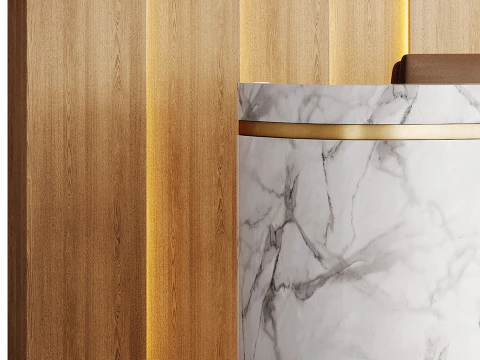Contemporary Reception 20 3D Model