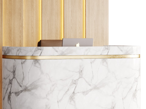 Contemporary Reception 20 3D Model