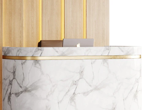 Contemporary Reception 20 3D Model