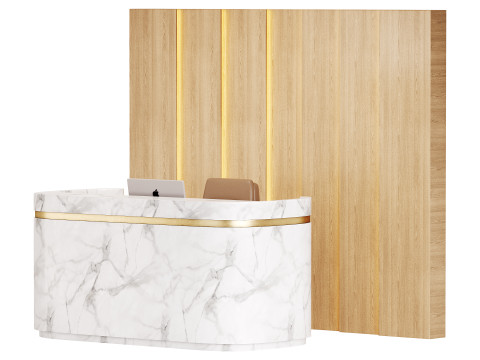 Contemporary Reception 20 3D Model