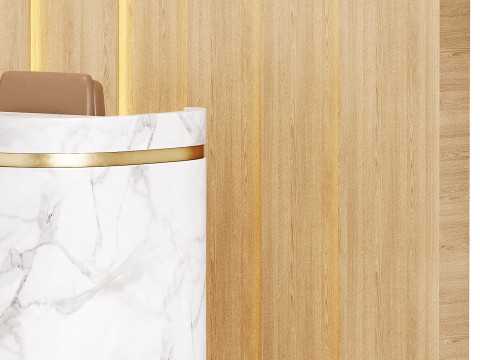 Contemporary Reception 20 3D Model