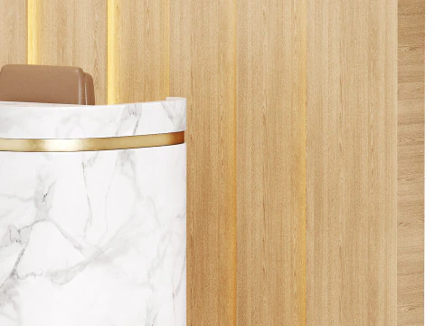 Contemporary Reception 20 3D Model