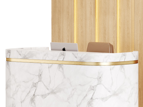 Contemporary Reception 20 3D Model