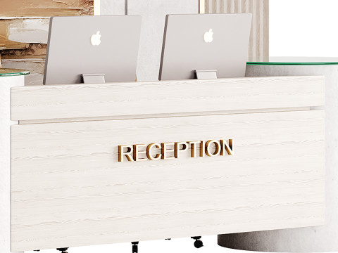 Contemporary Reception 16 3D Model