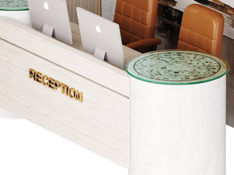 Contemporary Reception 16 3D Model