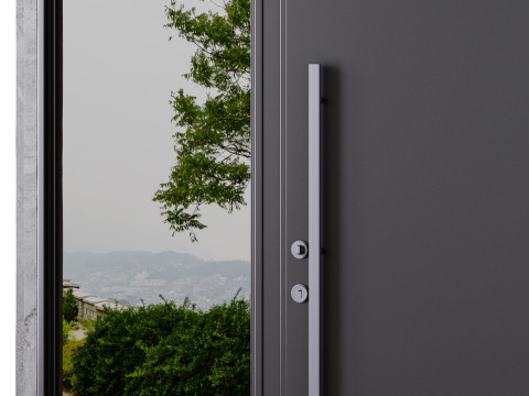 Metal entrance group for home and office Modello 3D