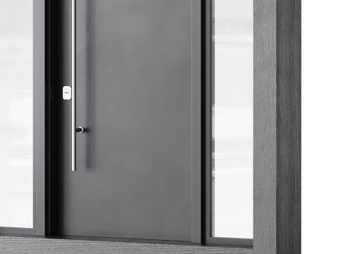 Modern entrance door 04 Modèle 3D