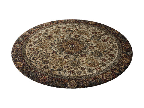 Round carpet 23 3D Model