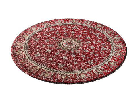 Round carpet 28 3D 模型