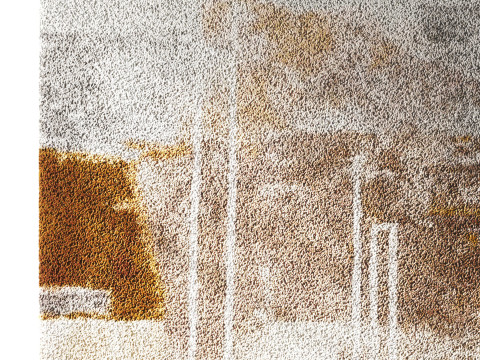 Rug Set 34 3D Model