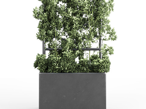 Botanical Planter 3D Модель
