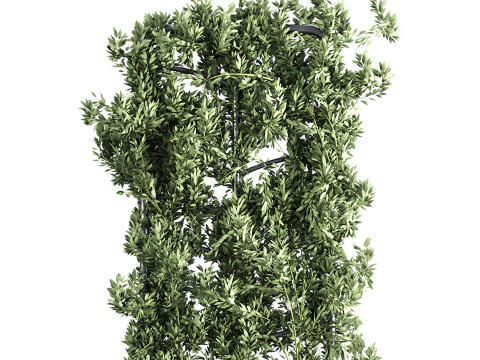 Botanical Planter 3D Модель