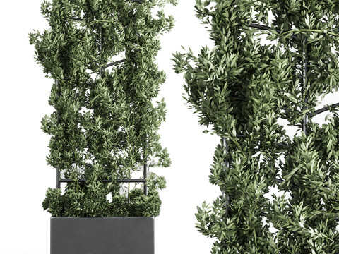 Botanical Planter 3D Модель