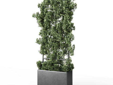 Botanical Planter 3D Модель