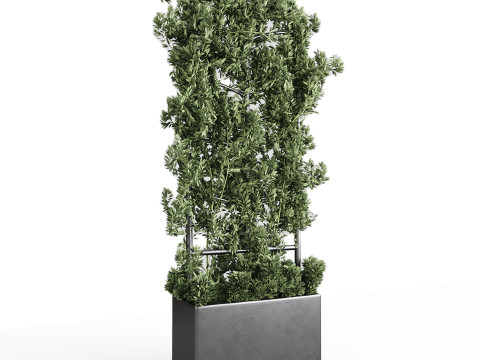 Botanical Planter 3D Модель