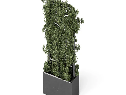 Penanam Botani Model 3D