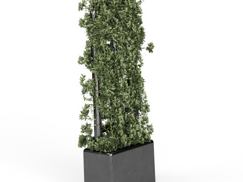Botanical Planter 3D Модель