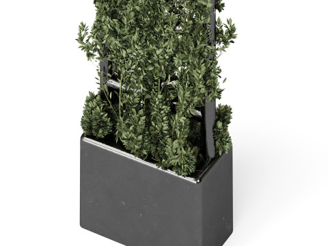 Botanical Planter 3D Модель