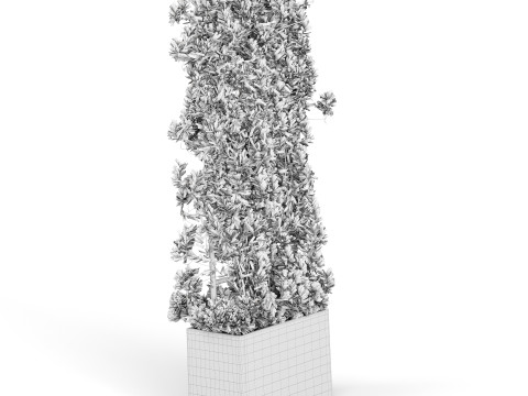 Botanical Planter 3D Модель
