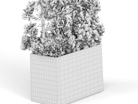 Botanical Planter 3D Модель