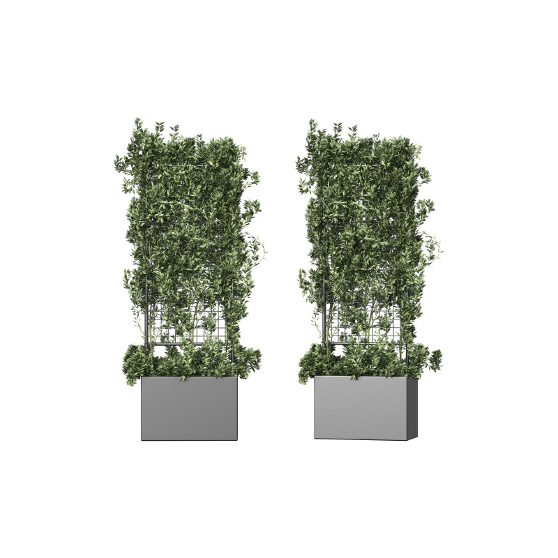 Botanical Planter 2 3D Модель .c4d .max .obj .3ds .fbx .stl .blend 