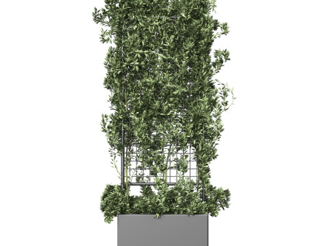 Botanical Planter 2 3D Модель