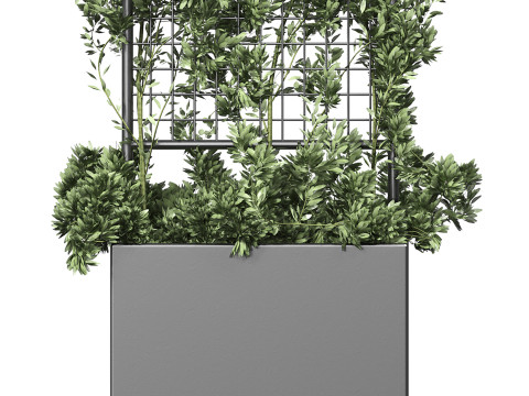 Botanical Planter 2 3D Модель