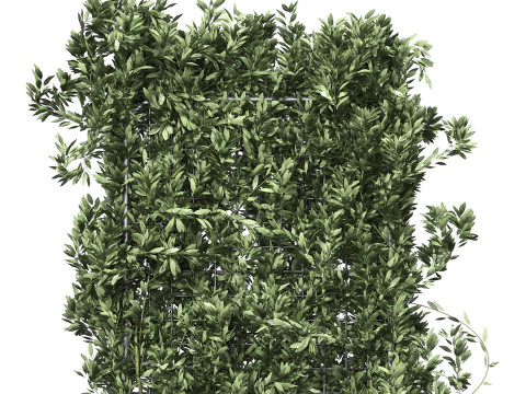 Botanical Planter 2 3D Модель