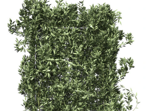 Jardini&egrave;re Botanique 2 Modèle 3D