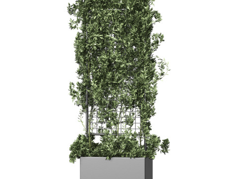 Botanical Planter 2 3D Модель