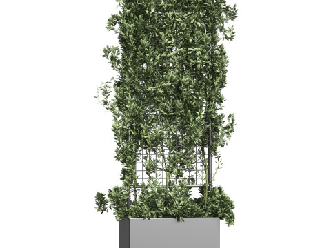 Botanical Planter 2 3D Модель