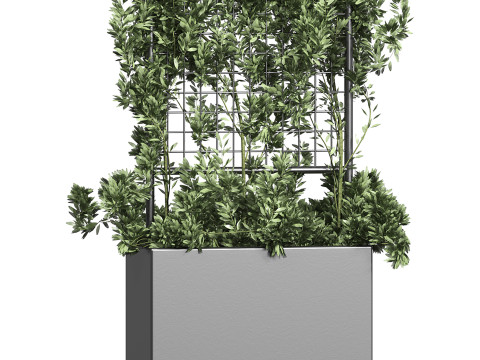 Botanical Planter 2 3D Модель