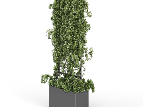 Botanical Planter 2 3D Модель