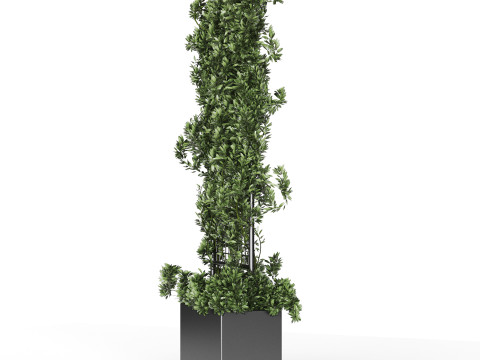 Botanical Planter 2 3D Модель