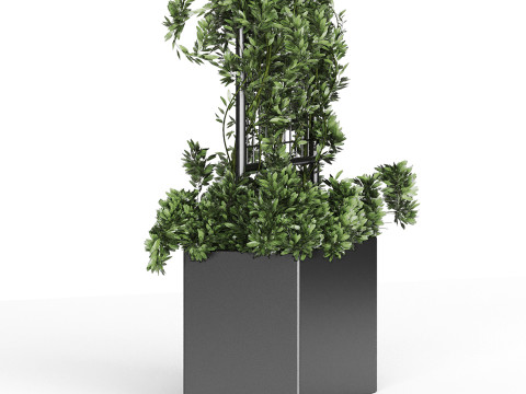Botanical Planter 2 3D Модель