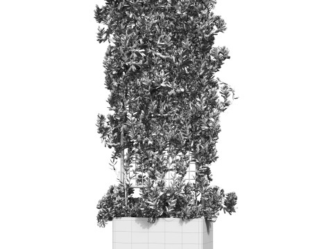 Botanical Planter 2 3D Модель