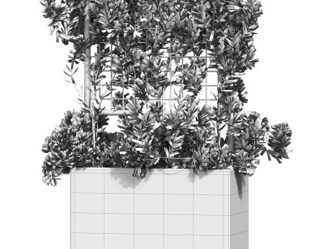 Botanical Planter 2 3D Модель