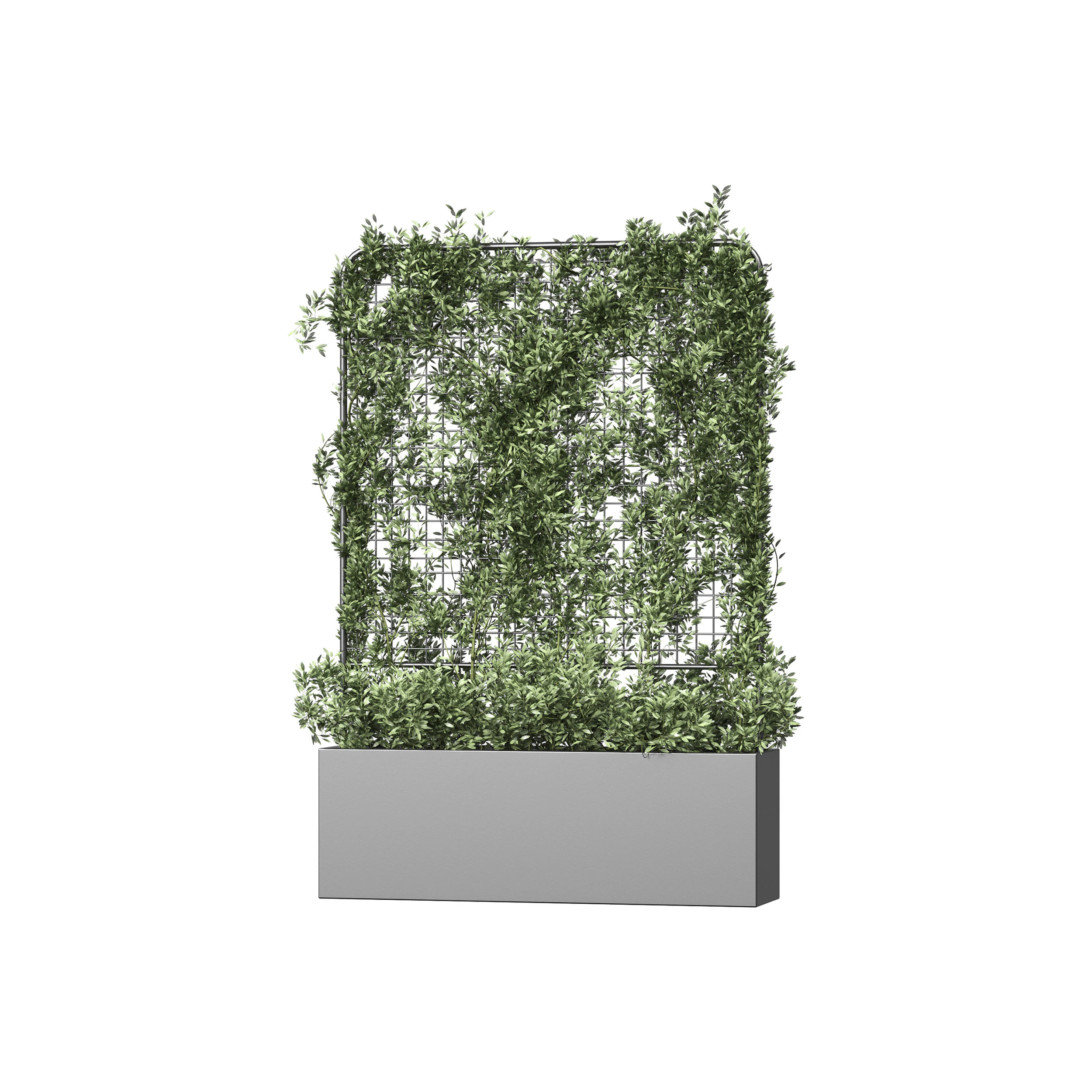 Botanischer &Uuml;bertopf 3 3D Modell .c4d .max .obj .3ds .fbx .stl .blend 