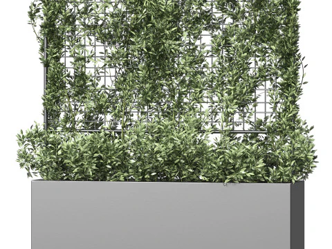 Botanischer &Uuml;bertopf 3 3D Modell