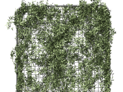 Botanical Planter 3 3D Модель