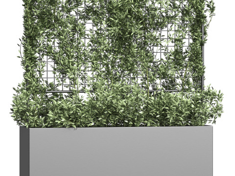 Botanical Planter 3 3D Модель