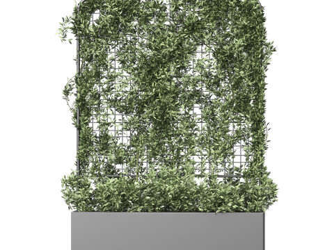 Botanical Planter 3 3D Модель