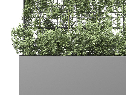 Botanical Planter 3 3D Модель